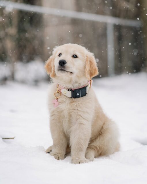 FINN – Bild 4