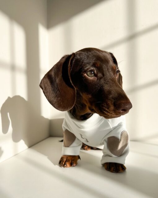 MARLEY – Bild 3
