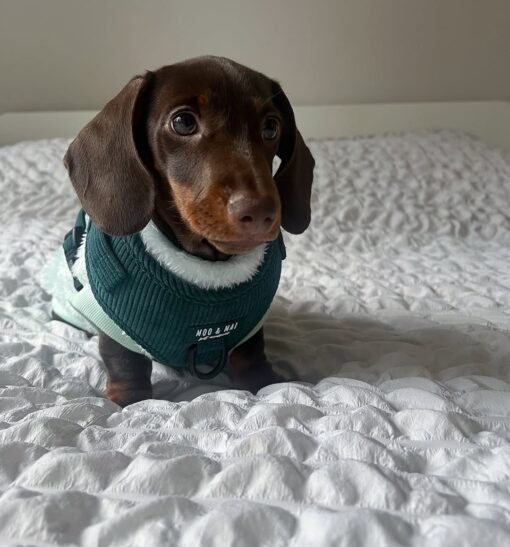 MARLEY – Bild 5
